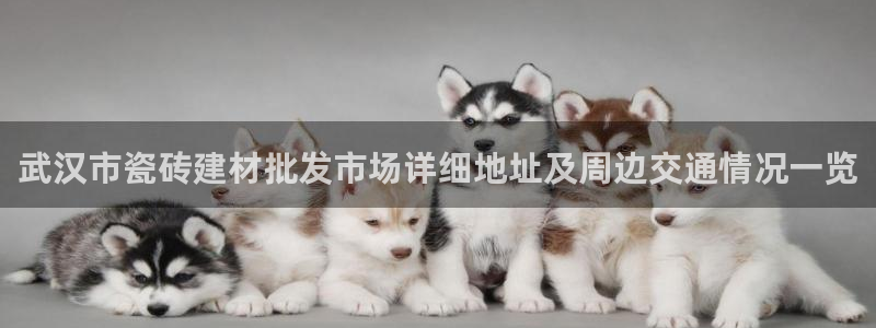 杏鑫平台野马联盟