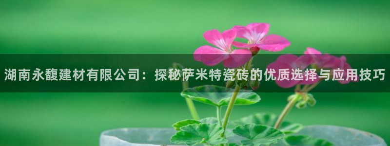 杏鑫手机客户端怎么下载