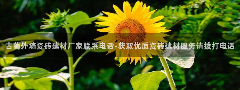 杏鑫娱乐官网