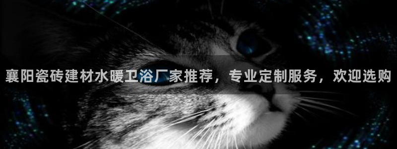 杏鑫平台测速怎么样