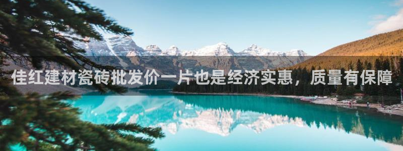 杏鑫招商总代