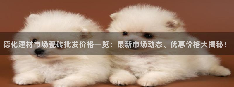 杏鑫平台念7O777