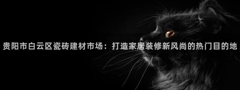 杏鑫娱乐开发团队