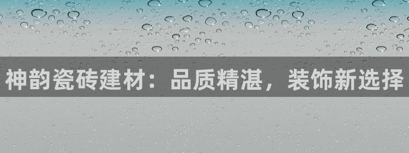 杏鑫3主管
