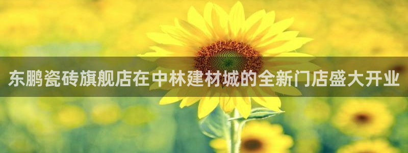 杏鑫平台招商电话号码
