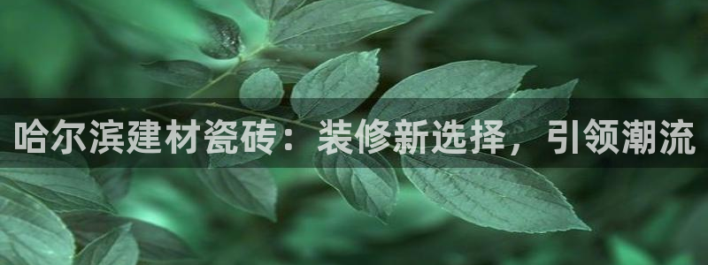 杏鑫平台待遇
