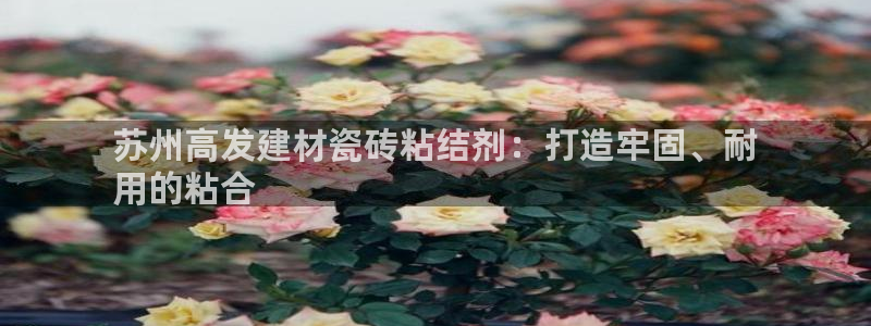 杏鑫平台代理怎么样赚钱