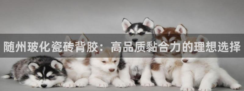 杏鑫平台怎么样黑钱吗知乎推荐