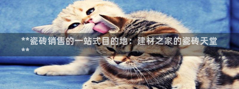 杏鑫娱乐官方网站客户端下载