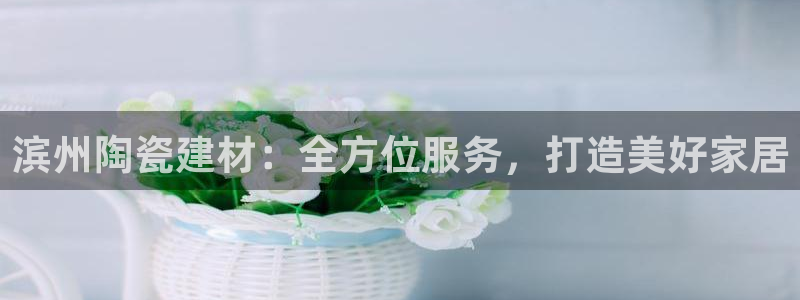 杏鑫平台招商电话