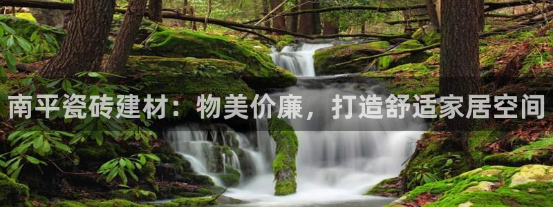杏鑫平台广7O777
