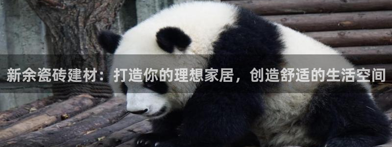 杏鑫平台平台