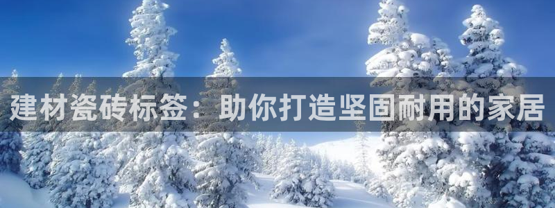 杏鑫娱乐开发团队