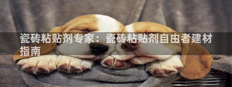 杏鑫平台野马联盟怎么样
