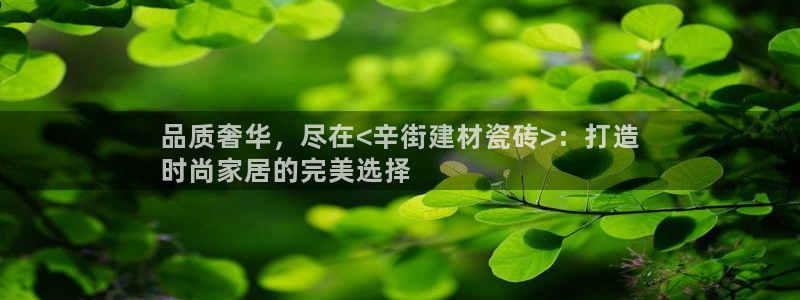 杏鑫主管