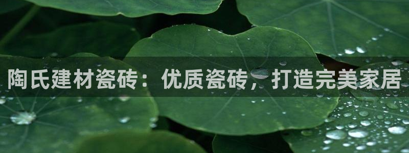 杏鑫平台代理怎么样啊
