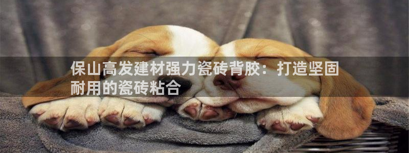 杏鑫平台直属哪个公司