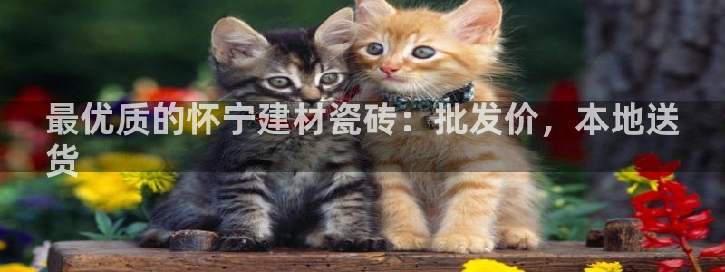 杏鑫平台怎么样黑钱吗安全吗
