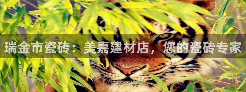 杏鑫官方平台怎么样