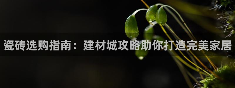 杏鑫平台列7O777