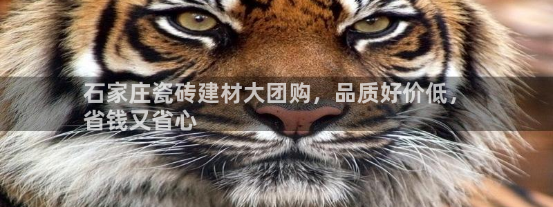 杏鑫平台直属哪个公司