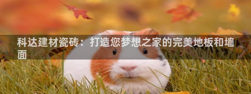 杏鑫平台直属哪个公司