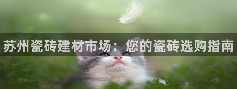 杏鑫平台代理怎么做