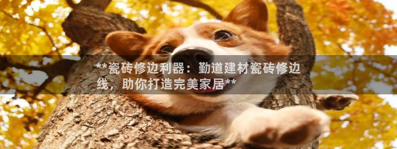 杏鑫平台是黑平台吗是真的吗