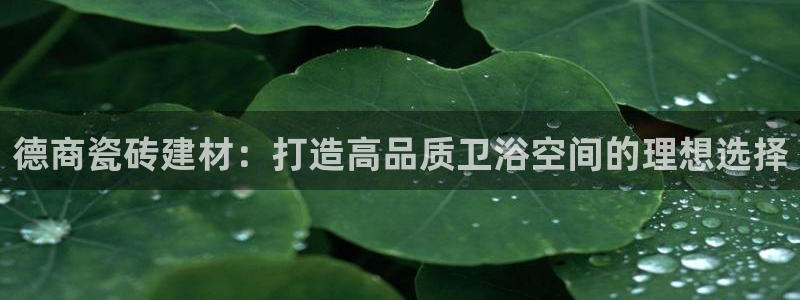 杏鑫娱乐怎么样