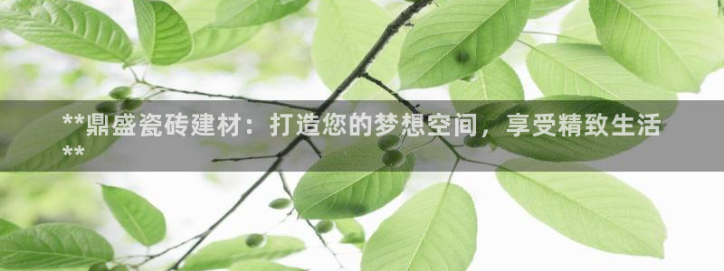 杏鑫平台招商电话