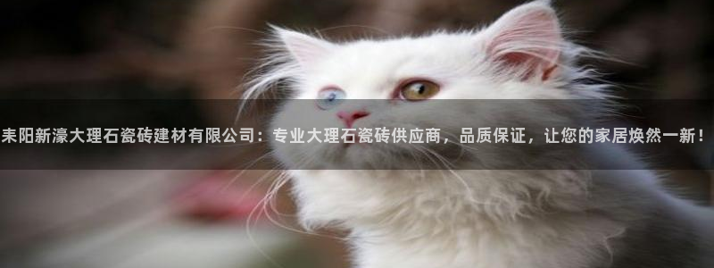 杏鑫娱乐官方网站客户端下载