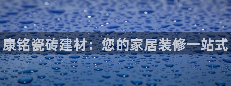 杏鑫平台代理