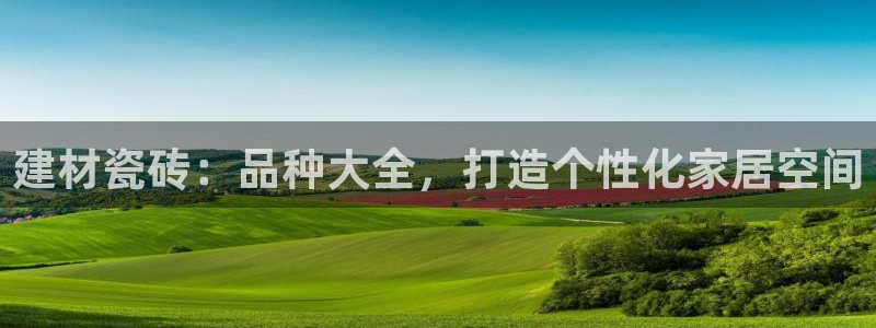 杏鑫主管