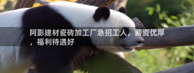 杏鑫平台代理怎么样可靠吗